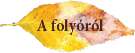 Folyorol